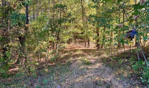 Photo of SOLD!!  81.9 Acres of Hunting and Timber Land for Sale in Caswell County NC!