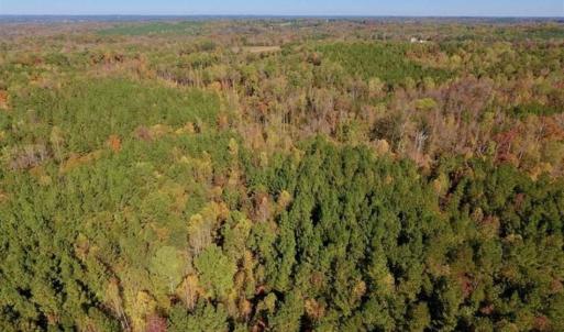 Photo of SOLD!!  81.9 Acres of Hunting and Timber Land for Sale in Caswell County NC!