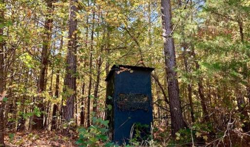 Photo of SOLD!!  81.9 Acres of Hunting and Timber Land for Sale in Caswell County NC!