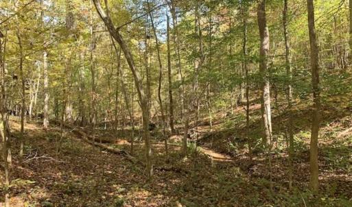 Photo of SOLD!!  81.9 Acres of Hunting and Timber Land for Sale in Caswell County NC!