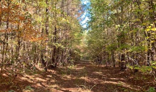 Photo of SOLD!!  81.9 Acres of Hunting and Timber Land for Sale in Caswell County NC!
