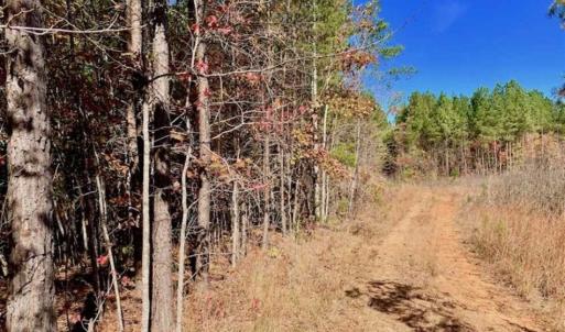 Photo of SOLD!!  81.9 Acres of Hunting and Timber Land for Sale in Caswell County NC!