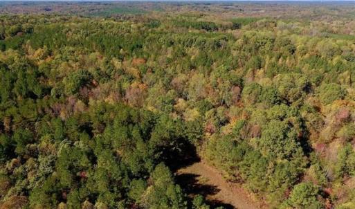 Photo of SOLD!!  81.9 Acres of Hunting and Timber Land for Sale in Caswell County NC!