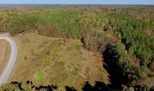Photo of SOLD!!  81.9 Acres of Hunting and Timber Land for Sale in Caswell County NC!