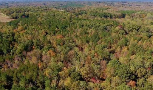 Photo of SOLD!!  81.9 Acres of Hunting and Timber Land for Sale in Caswell County NC!