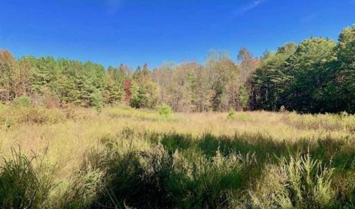 Photo of SOLD!!  81.9 Acres of Hunting and Timber Land for Sale in Caswell County NC!