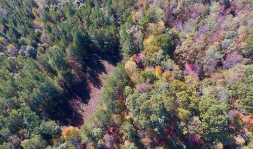 Photo of SOLD!!  81.9 Acres of Hunting and Timber Land for Sale in Caswell County NC!