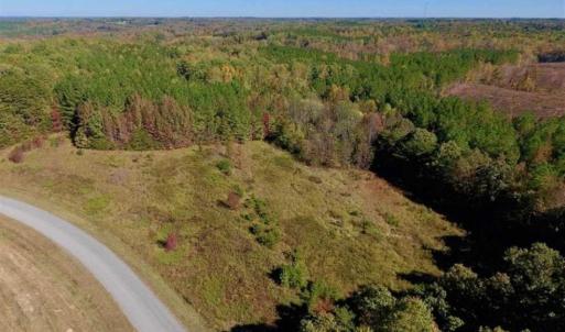 Photo of SOLD!!  81.9 Acres of Hunting and Timber Land for Sale in Caswell County NC!