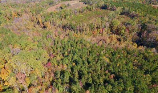 Photo of SOLD!!  81.9 Acres of Hunting and Timber Land for Sale in Caswell County NC!