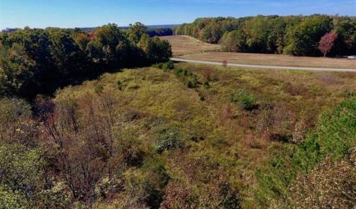 Photo of SOLD!!  81.9 Acres of Hunting and Timber Land for Sale in Caswell County NC!