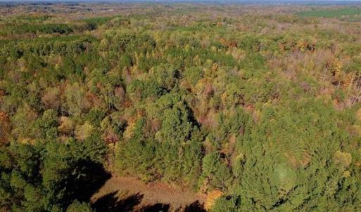 Photo of SOLD!!  81.9 Acres of Hunting and Timber Land for Sale in Caswell County NC!