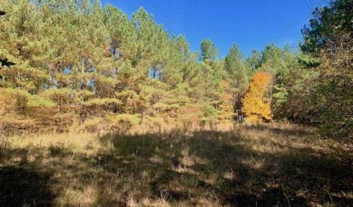 Photo of SOLD!!  81.9 Acres of Hunting and Timber Land for Sale in Caswell County NC!