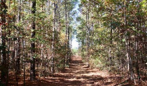 Photo of SOLD!!  257 Acres of Farm and Timber Land For Sale in Northampton County NC!