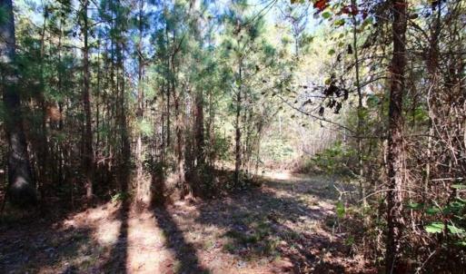 Photo of SOLD!!  257 Acres of Farm and Timber Land For Sale in Northampton County NC!