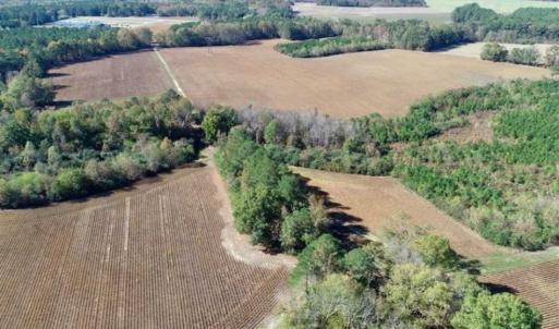 Photo of SOLD!!  257 Acres of Farm and Timber Land For Sale in Northampton County NC!