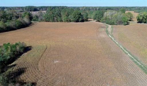 Photo of SOLD!!  257 Acres of Farm and Timber Land For Sale in Northampton County NC!