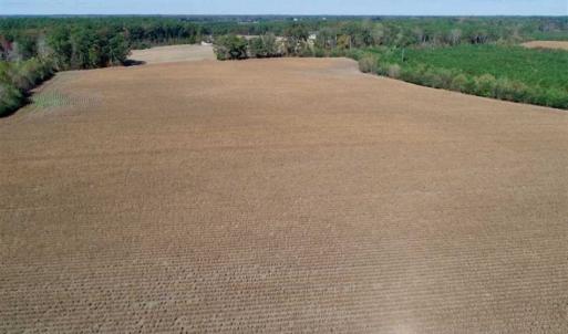Photo of SOLD!!  257 Acres of Farm and Timber Land For Sale in Northampton County NC!