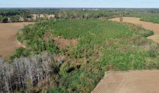 Photo of SOLD!!  257 Acres of Farm and Timber Land For Sale in Northampton County NC!