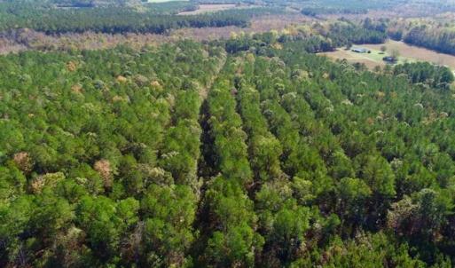 Photo of SOLD!!  257 Acres of Farm and Timber Land For Sale in Northampton County NC!