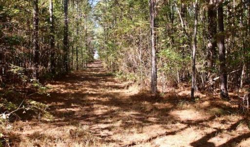 Photo of SOLD!!  257 Acres of Farm and Timber Land For Sale in Northampton County NC!