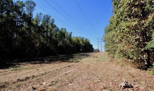 Photo of SOLD!!  257 Acres of Farm and Timber Land For Sale in Northampton County NC!