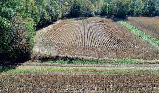 Photo of SOLD!!  257 Acres of Farm and Timber Land For Sale in Northampton County NC!