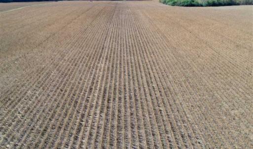 Photo of SOLD!!  257 Acres of Farm and Timber Land For Sale in Northampton County NC!
