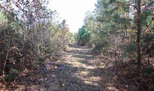Photo of SOLD!!  257 Acres of Farm and Timber Land For Sale in Northampton County NC!