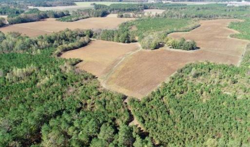 Photo of SOLD!!  257 Acres of Farm and Timber Land For Sale in Northampton County NC!