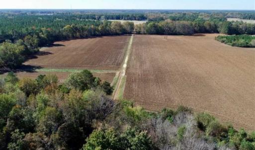Photo of SOLD!!  257 Acres of Farm and Timber Land For Sale in Northampton County NC!