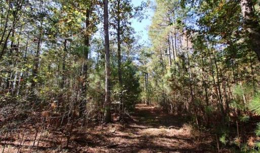 Photo of SOLD!!  257 Acres of Farm and Timber Land For Sale in Northampton County NC!
