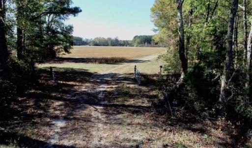 Photo of SOLD!!  257 Acres of Farm and Timber Land For Sale in Northampton County NC!