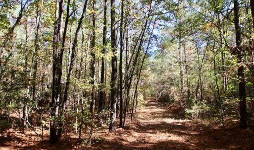 Photo of SOLD!!  257 Acres of Farm and Timber Land For Sale in Northampton County NC!