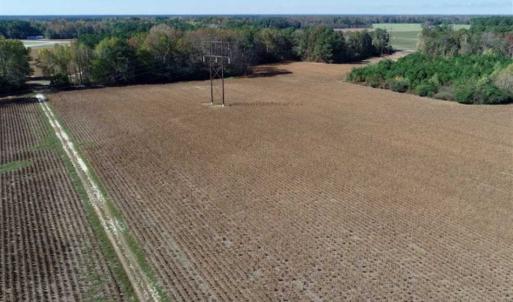 Photo of SOLD!!  257 Acres of Farm and Timber Land For Sale in Northampton County NC!