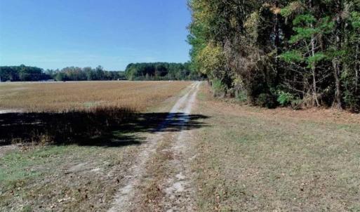 Photo of SOLD!!  257 Acres of Farm and Timber Land For Sale in Northampton County NC!