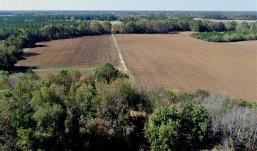 Photo of SOLD!!  257 Acres of Farm and Timber Land For Sale in Northampton County NC!