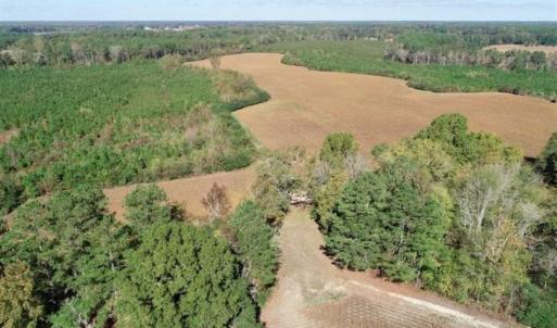 Photo of SOLD!!  257 Acres of Farm and Timber Land For Sale in Northampton County NC!