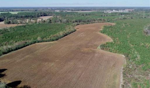 Photo of SOLD!!  257 Acres of Farm and Timber Land For Sale in Northampton County NC!