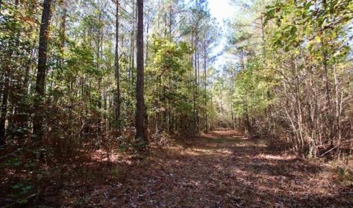 Photo of SOLD!!  257 Acres of Farm and Timber Land For Sale in Northampton County NC!