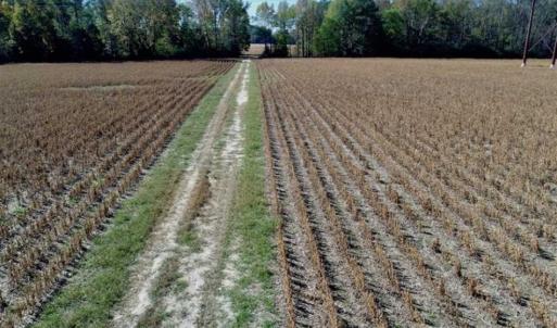 Photo of SOLD!!  257 Acres of Farm and Timber Land For Sale in Northampton County NC!