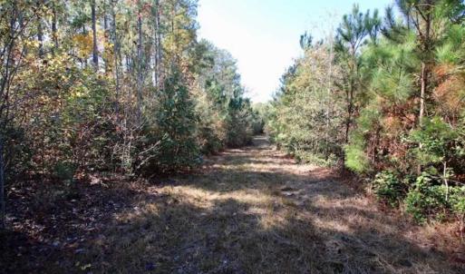 Photo of SOLD!!  257 Acres of Farm and Timber Land For Sale in Northampton County NC!