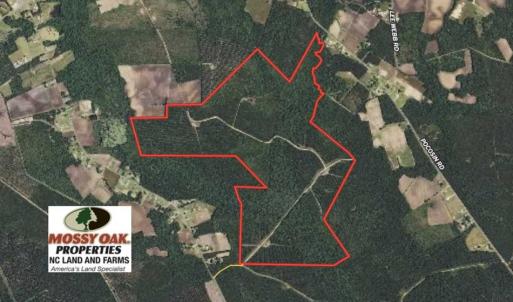 Photo of SOLD!!  365 Acres of Timber and Hunting Land For Sale in Columbus County NC!