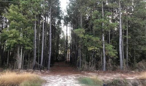 Photo of SOLD!!  19.26 Acres of Hunting Land For Sale in Robeson County NC!