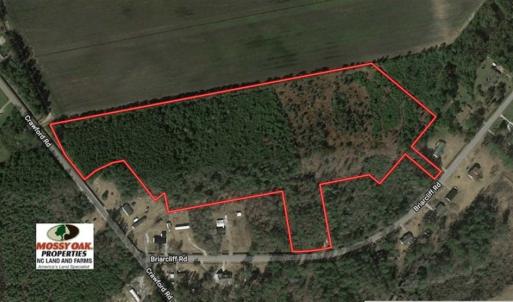 Photo of SOLD!!  19.26 Acres of Hunting Land For Sale in Robeson County NC!