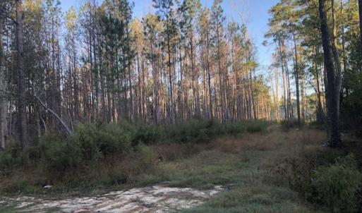 Photo of SOLD!!  19.26 Acres of Hunting Land For Sale in Robeson County NC!