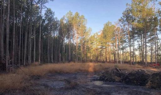 Photo of SOLD!!  19.26 Acres of Hunting Land For Sale in Robeson County NC!