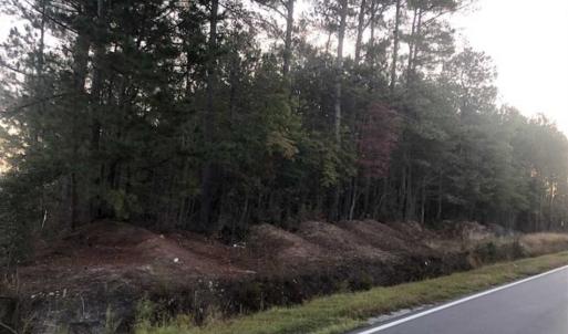 Photo of SOLD!!  19.26 Acres of Hunting Land For Sale in Robeson County NC!