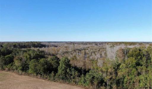 Photo of UNDER CONTRACT!!  350 Acres of Farm and Hunting Land For Sale in Columbus County NC!