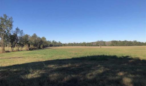 Photo of UNDER CONTRACT!!  350 Acres of Farm and Hunting Land For Sale in Columbus County NC!