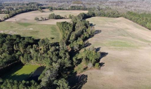 Photo of UNDER CONTRACT!!  350 Acres of Farm and Hunting Land For Sale in Columbus County NC!